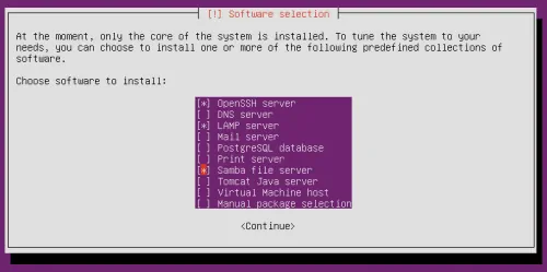 Ubuntu Tasksel - Package Selection