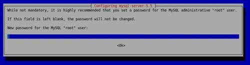 Install Mysql On Ubuntu - Root Password