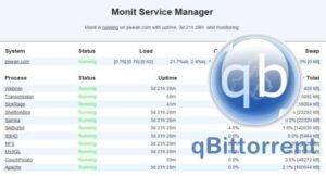 Qbittorrent Monitoring With Monit