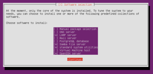 Ubuntu Server Edition Installation - Tasksel