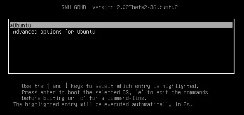 Install Ubuntu Home Server 1604 - Grub Menu