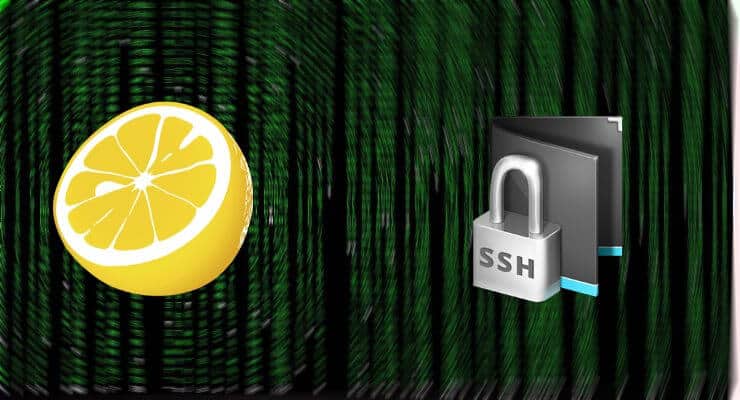 How To Connect Via Ssh From Your Smartphone Using Juicessh