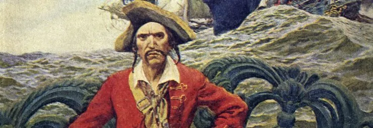 Pirate Captain On Deck Banner | Smarthomebeginner