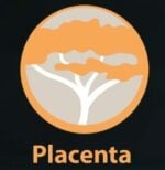 Placenta | Smarthomebeginner