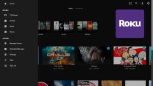 Jellyfin Roku client setup and review - functional but raw