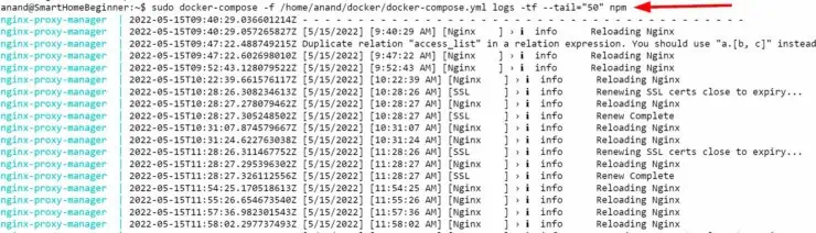 Nginx Proxy Manager Docker Compose Logs