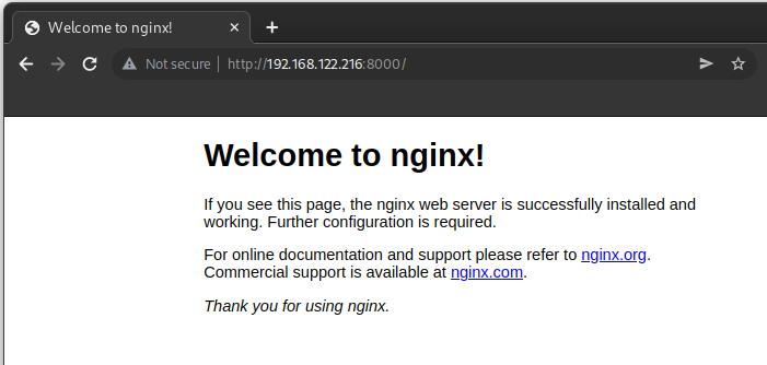 Nginx Website Accessible Through Firewall