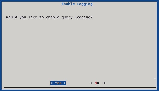Here You Are Asked To Enable Logging By The Pi-Hole Automated Installer