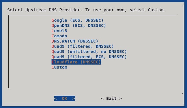 This Window Allows You To Choose A Custom Dns Provider In The Automated Pi-Hole Installer