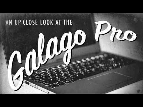 Galago Pro Extended Look